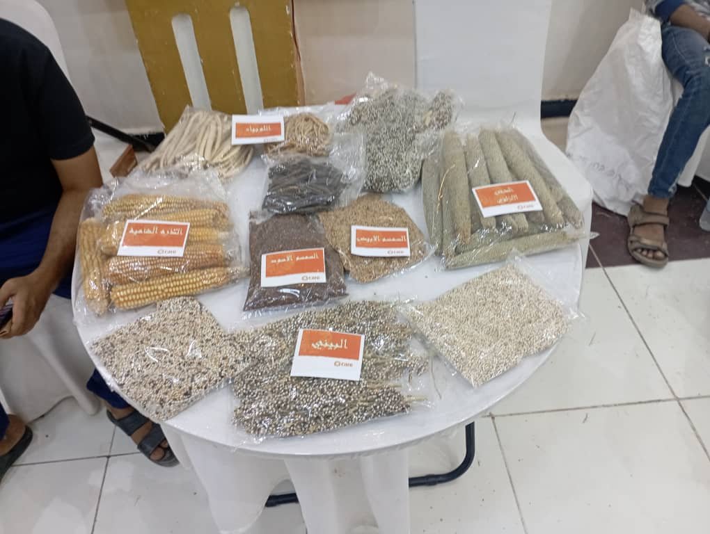 معرض الحبوب في أبين: دعوة للعودة إلى الأرض