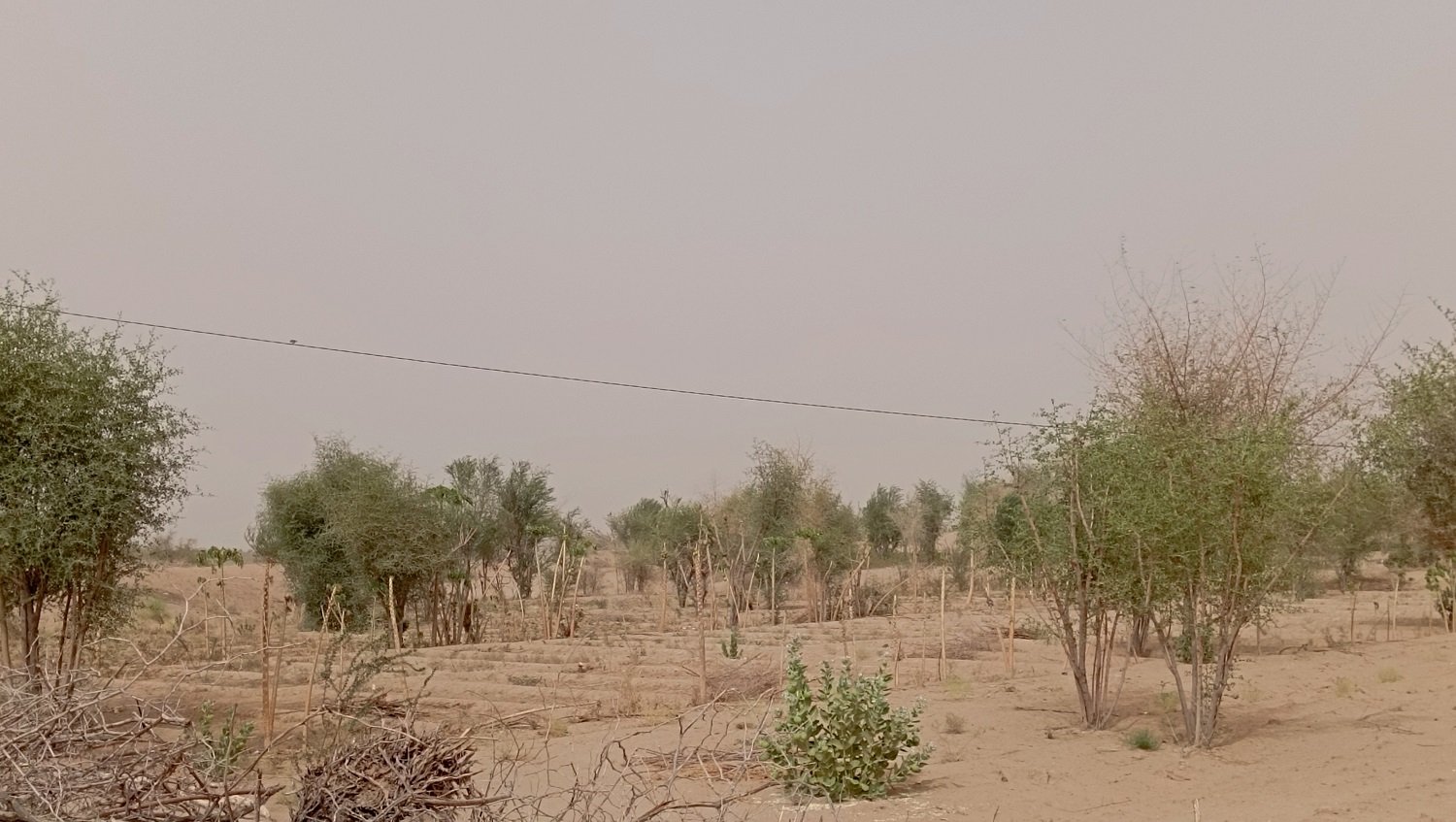 مأرب.. نضوب مياه وادي حريب يهدد معيشة المزارعين