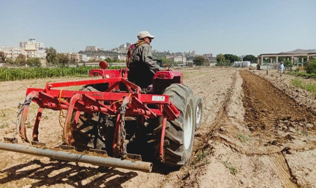 الزراعة في اليمن: تحديات المناخ والحلول الممكنة