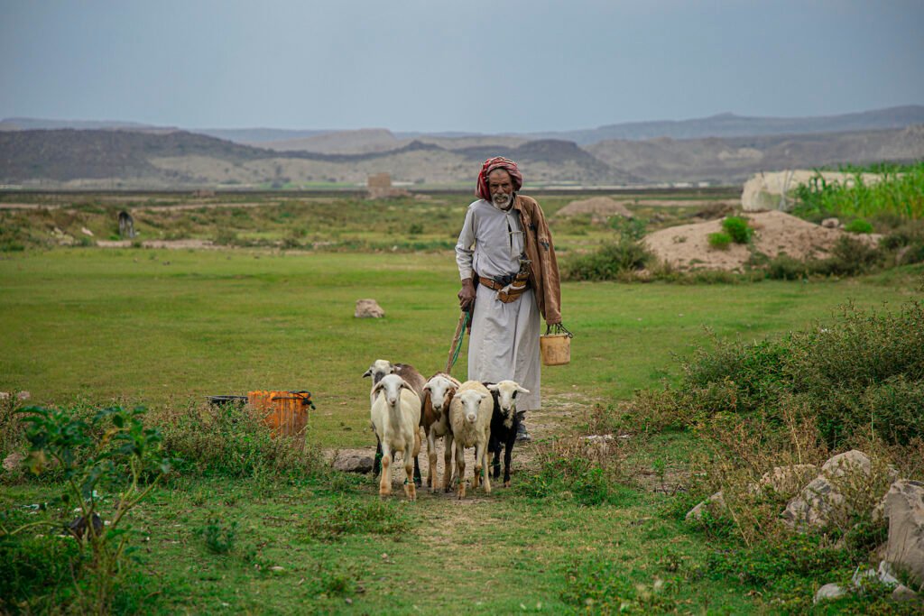 تحديات الزراعة والأمن الغذائي في اليمن
