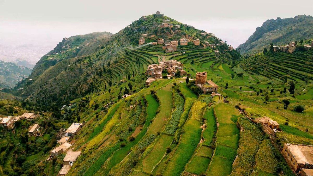 المدرجات الزراعية في اليمن