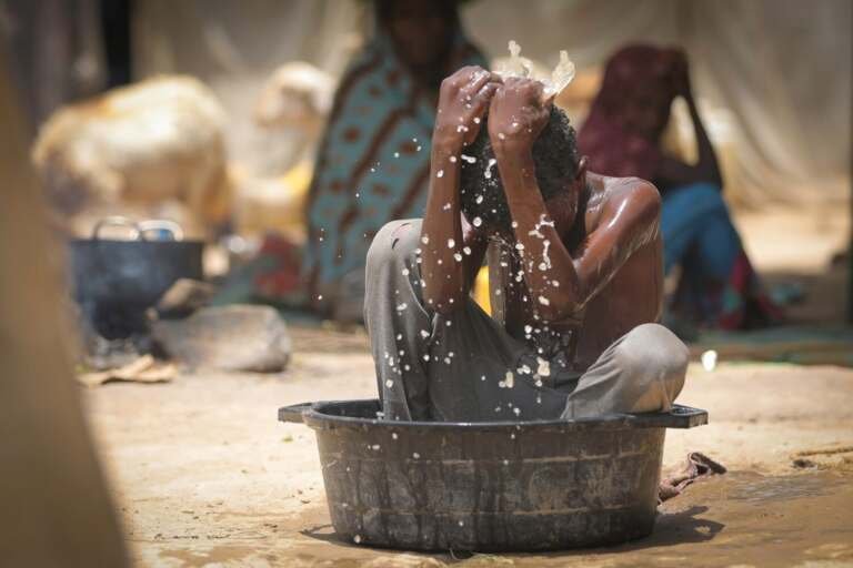 العالم يتجه نحو عام أشد حرارة.. هل نشهد موجة قاتلة؟