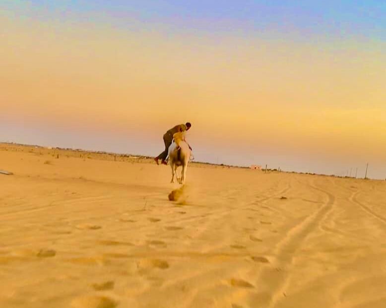 لحج
