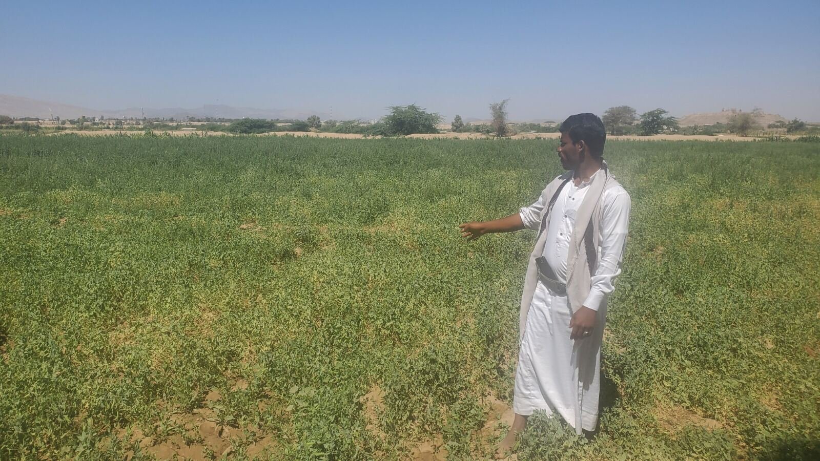 سد مارب.. شريان حياة المزارعين