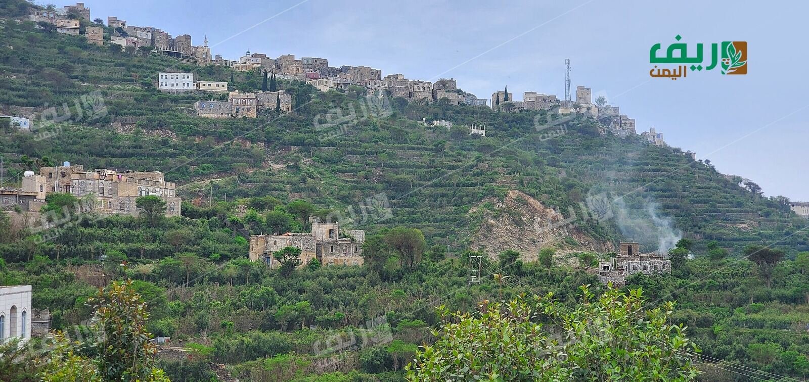 الزراعة اليمنية بين ضعف التأهيل وتراجع الانتاج