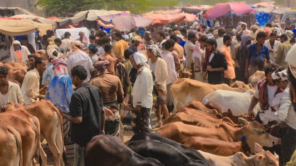 أضاحي سكان الريف.. بين وفرة الماضي وغلاء الحاضر