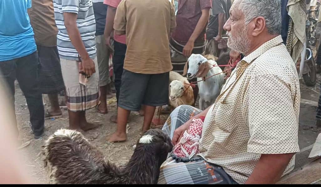 أضاحي سكان الريف.. بين وفرة الماضي وغلاء الحاضر
