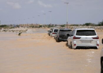 المهرة: تأثير تحديات المناخ على النزوح والتنقل
