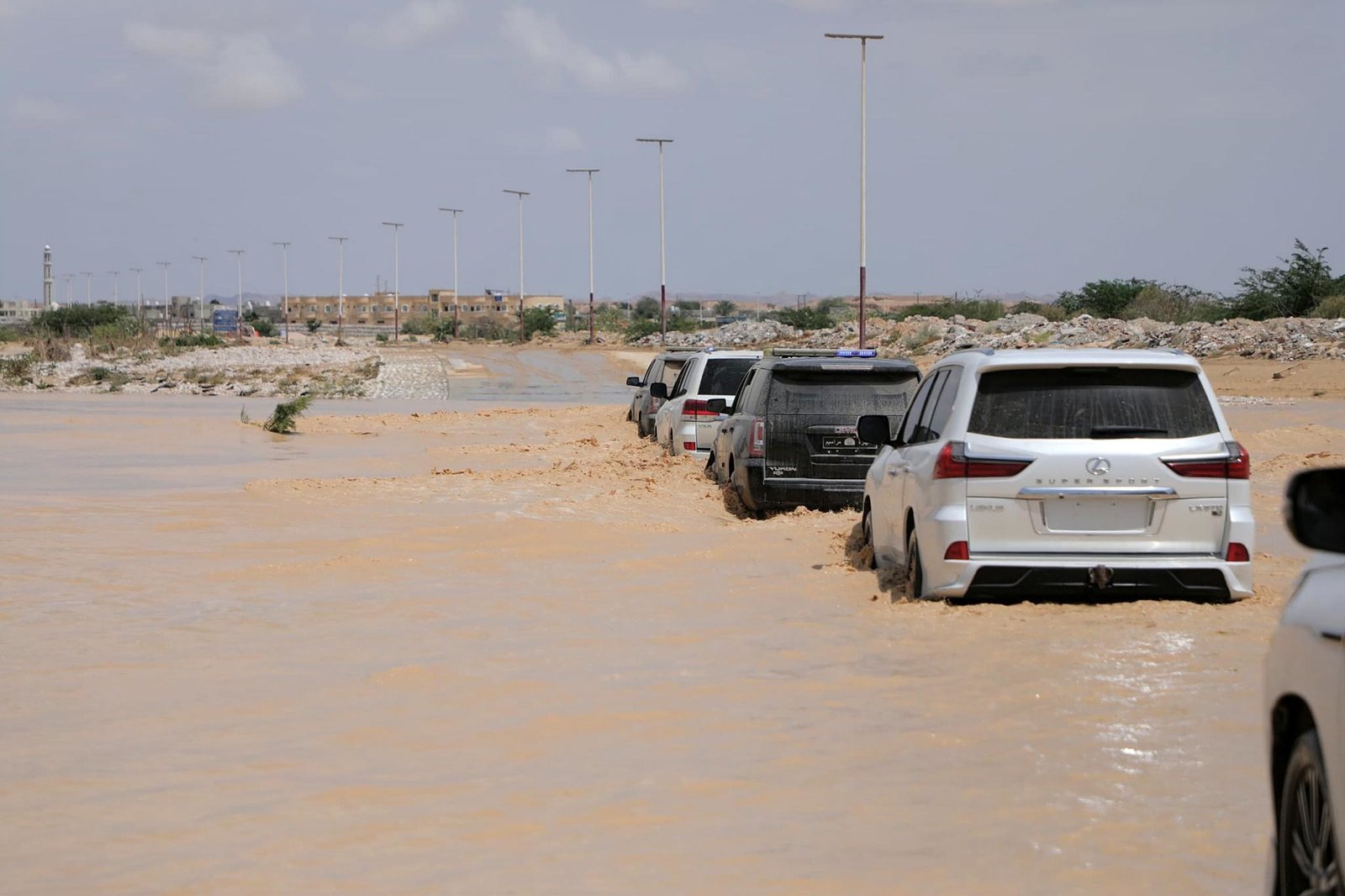 المهرة: تأثير تحديات المناخ على النزوح والتنقل