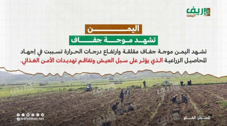 الجفاف في اليمن يهدد الغذاء وسبل العيش