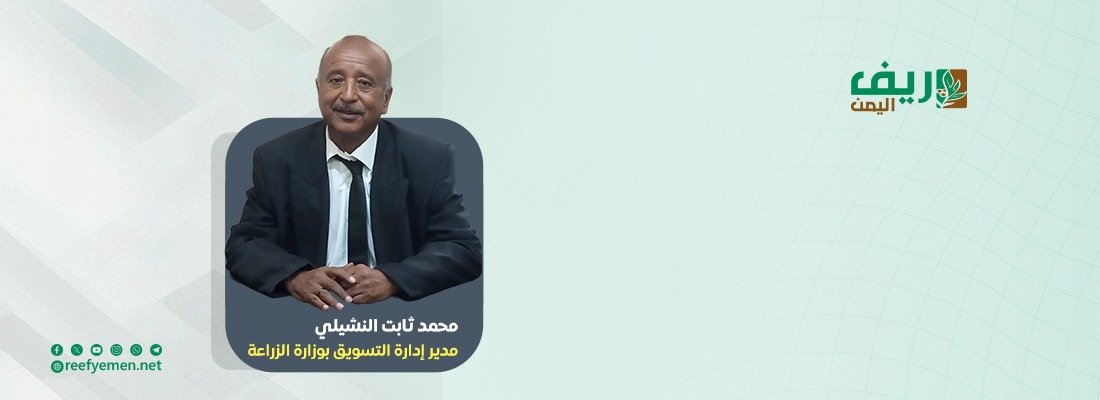 الزراعة في اليمن.. صمود رغم التحديات