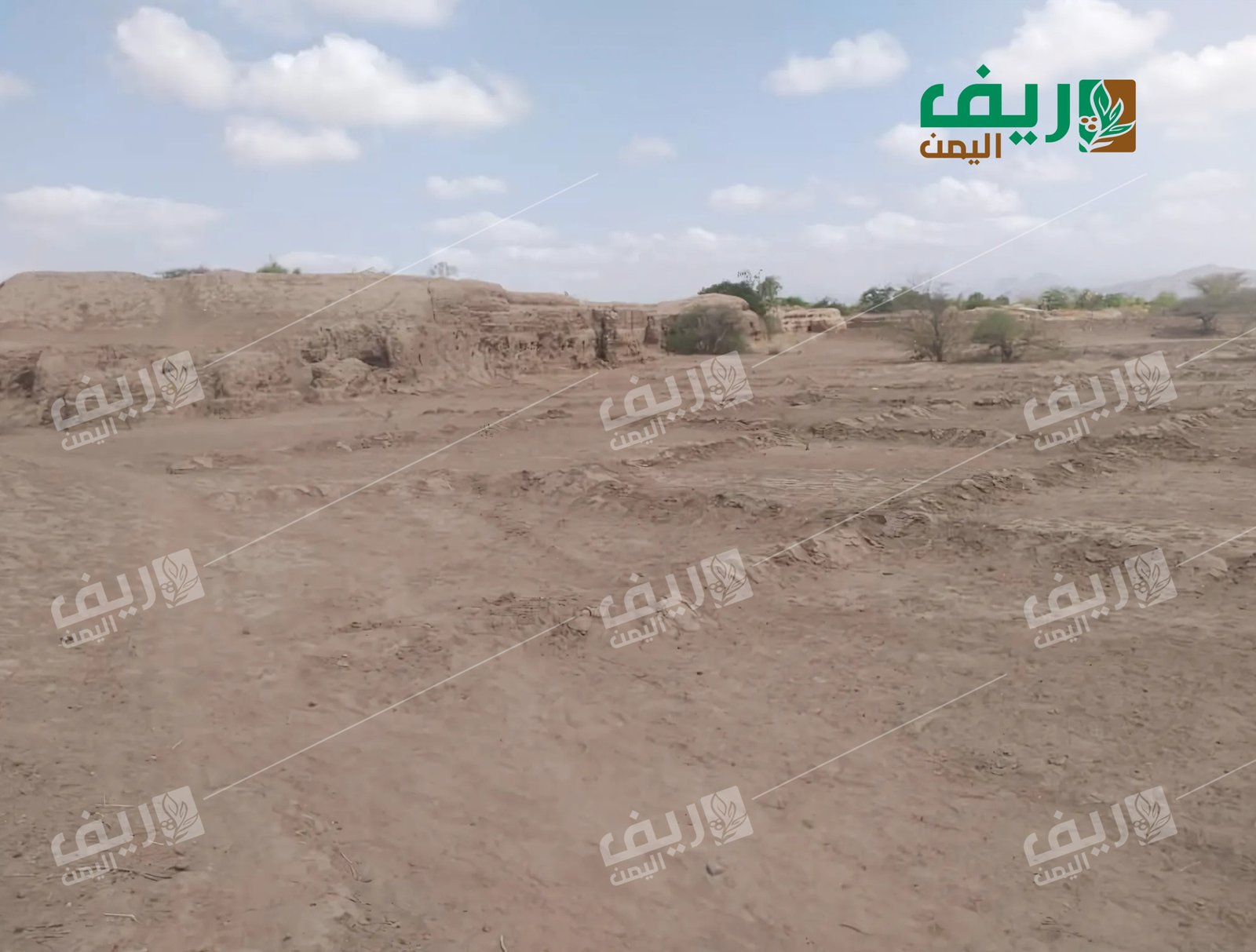 منطقة الراحة لحج: واحة ردفان التي ضربها الجفاف