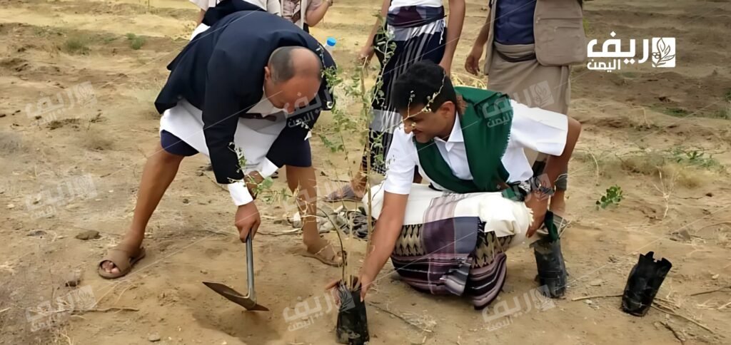 المحويت.. مبادرة مجتمعة لزراعة 10 آلاف شتلة سدر