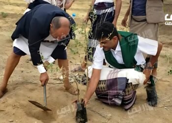 المحويت.. مبادرة مجتمعة لزراعة 10 آلاف شتلة سدر