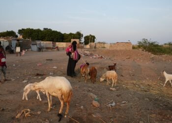 في اليوم العالمي للسكان.. سكان ريف اليمن يواجهون التهميش