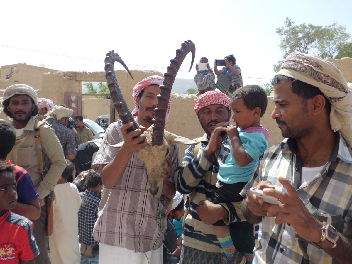 شبوة.. الصيد الجائر يهدد التنوع البيولوجي والبيئي