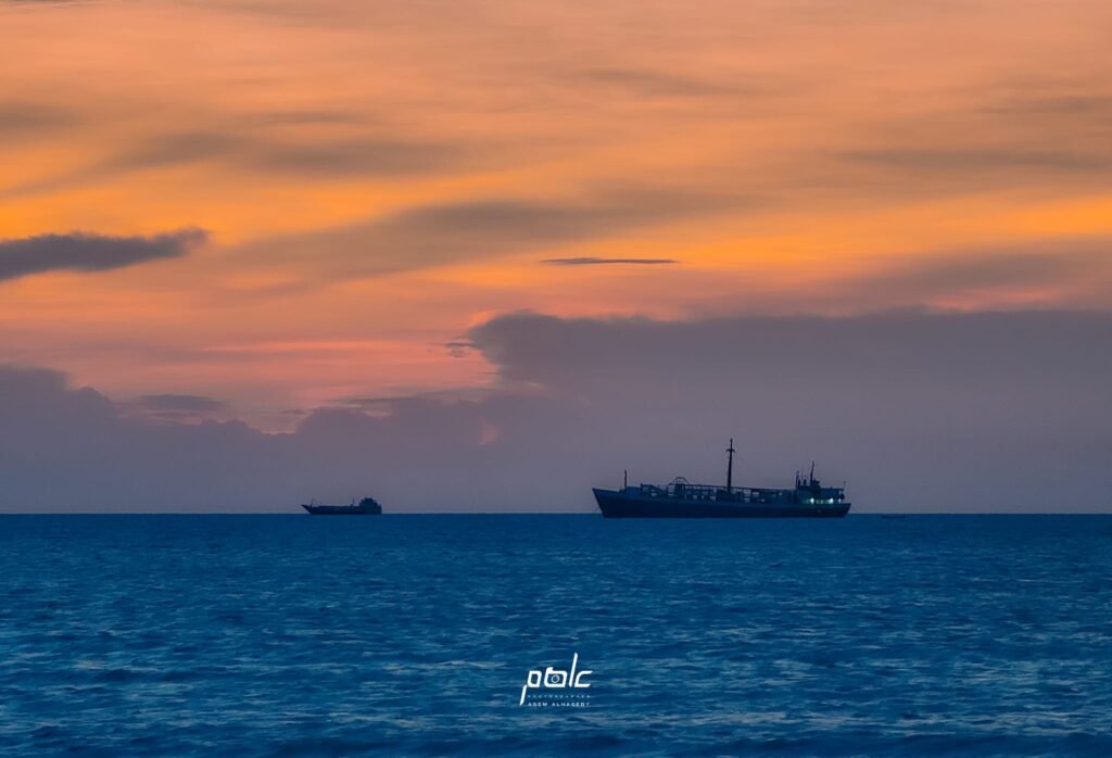 مدينة المخا