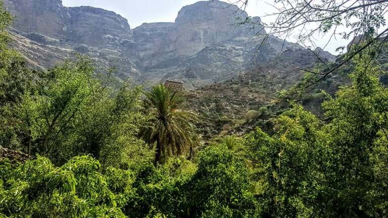 محمية جبل أرف.. كنز اليمن البيئي المهدد بالخطر