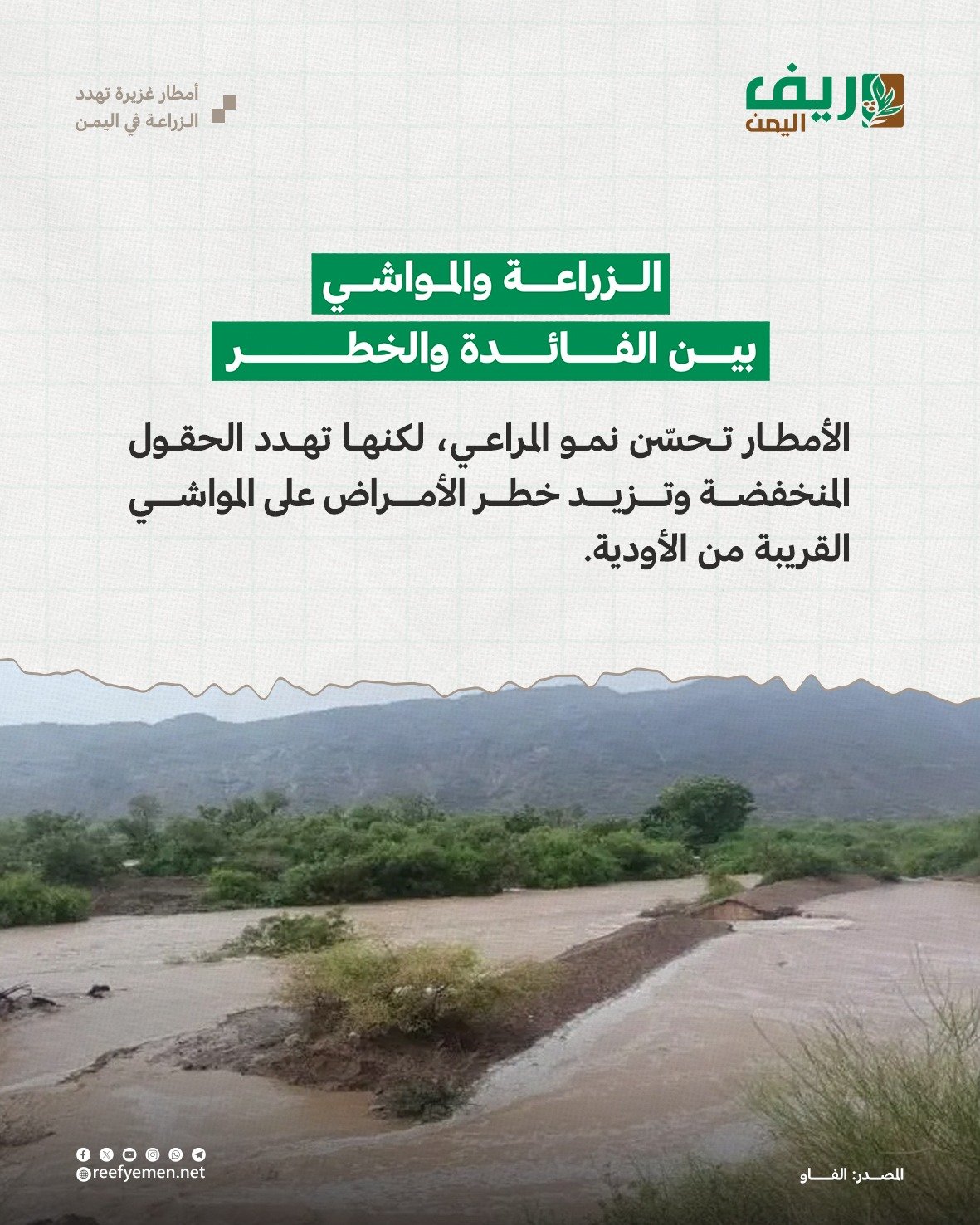 أمطار غزيرة تهدد الزراعة في اليمن
