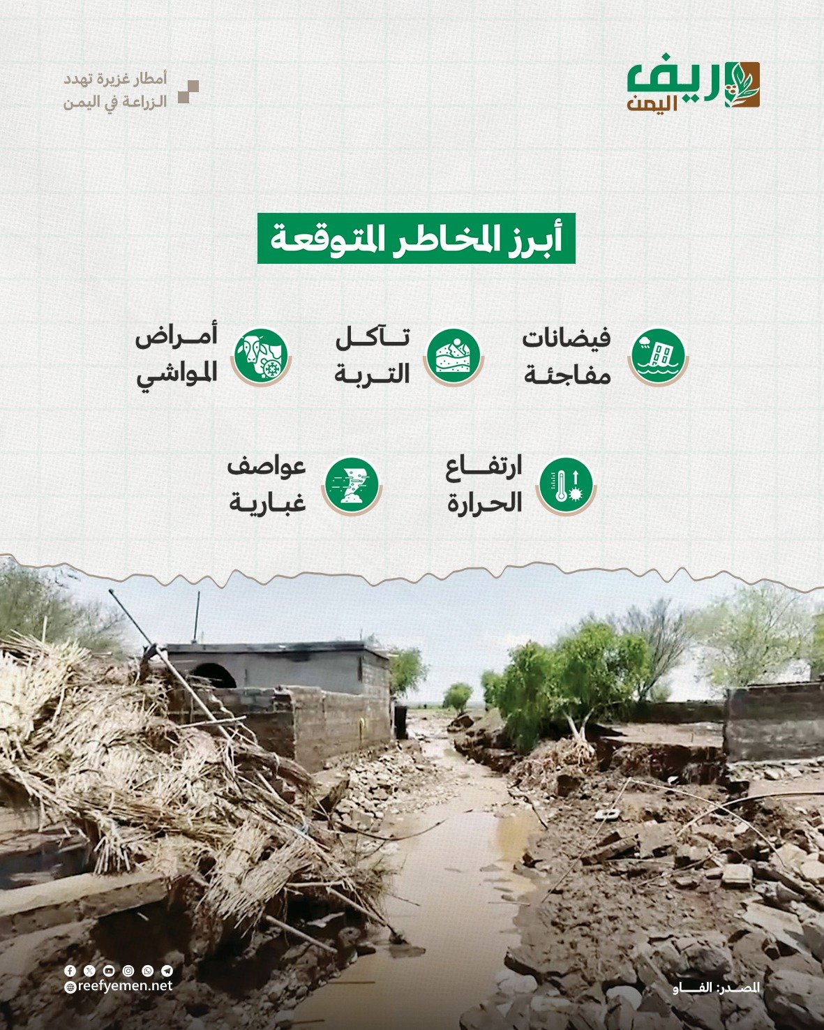 أمطار غزيرة تهدد الزراعة في اليمن
