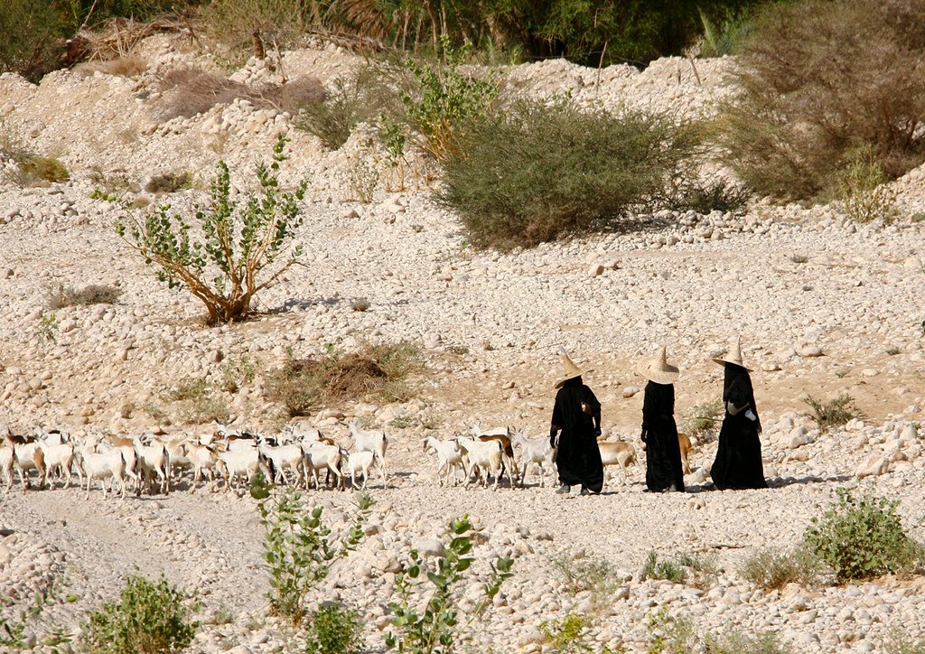 تعليم النساء في الضالع: "حورية" شابة تكسر قيود الجهل