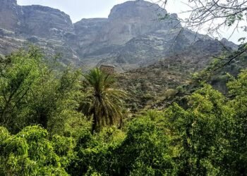 محمية جبل أرف.. كنز اليمن البيئي المهدد بالخطر