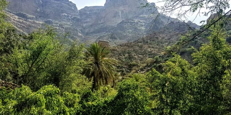 محمية جبل أرف.. كنز اليمن البيئي المهدد بالخطر