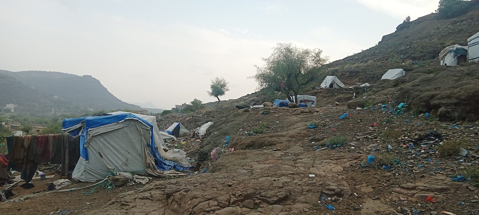 مبادرة "سونيا" لتعليم الأطفال: قصة نجاح ملهمة
