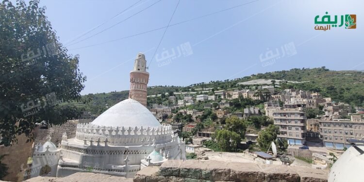 مدينة جبلة