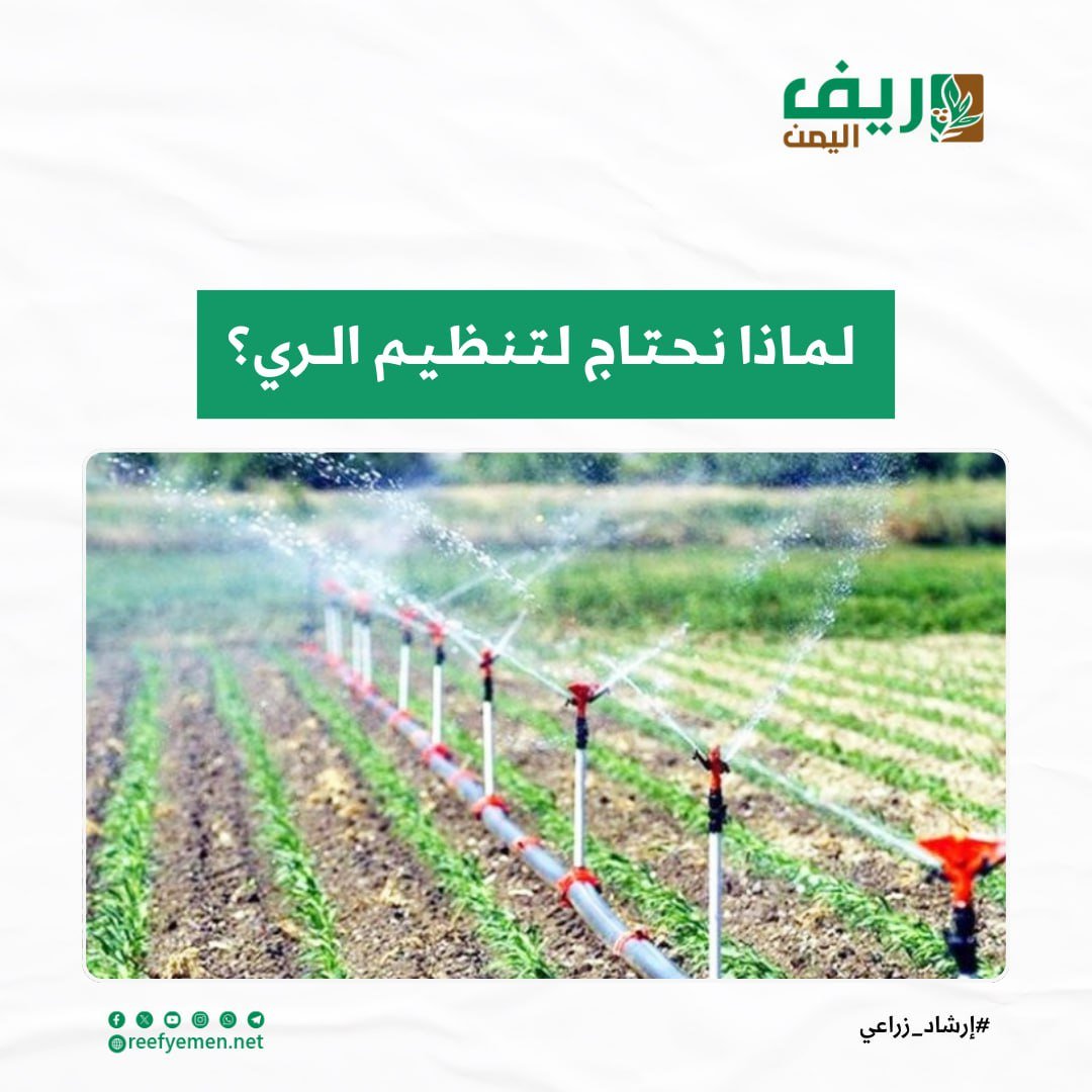 لماذا نحتاج إلى تنظيم ري المحاصيل؟