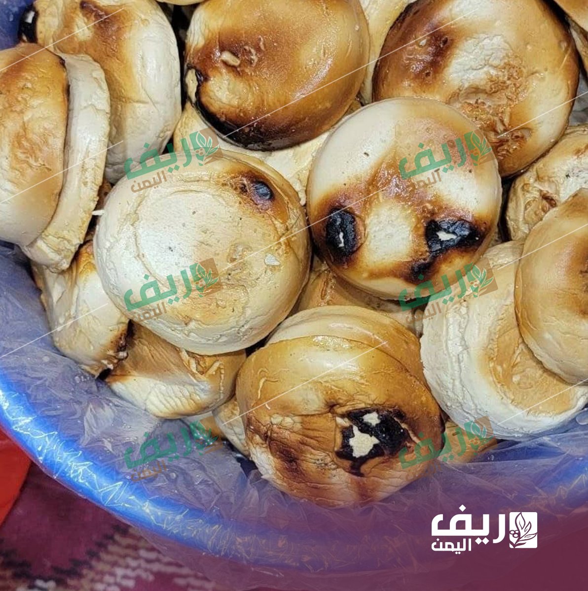 الجبن البلدي في وصاب: صناعة ريفية تفتقد التسويق