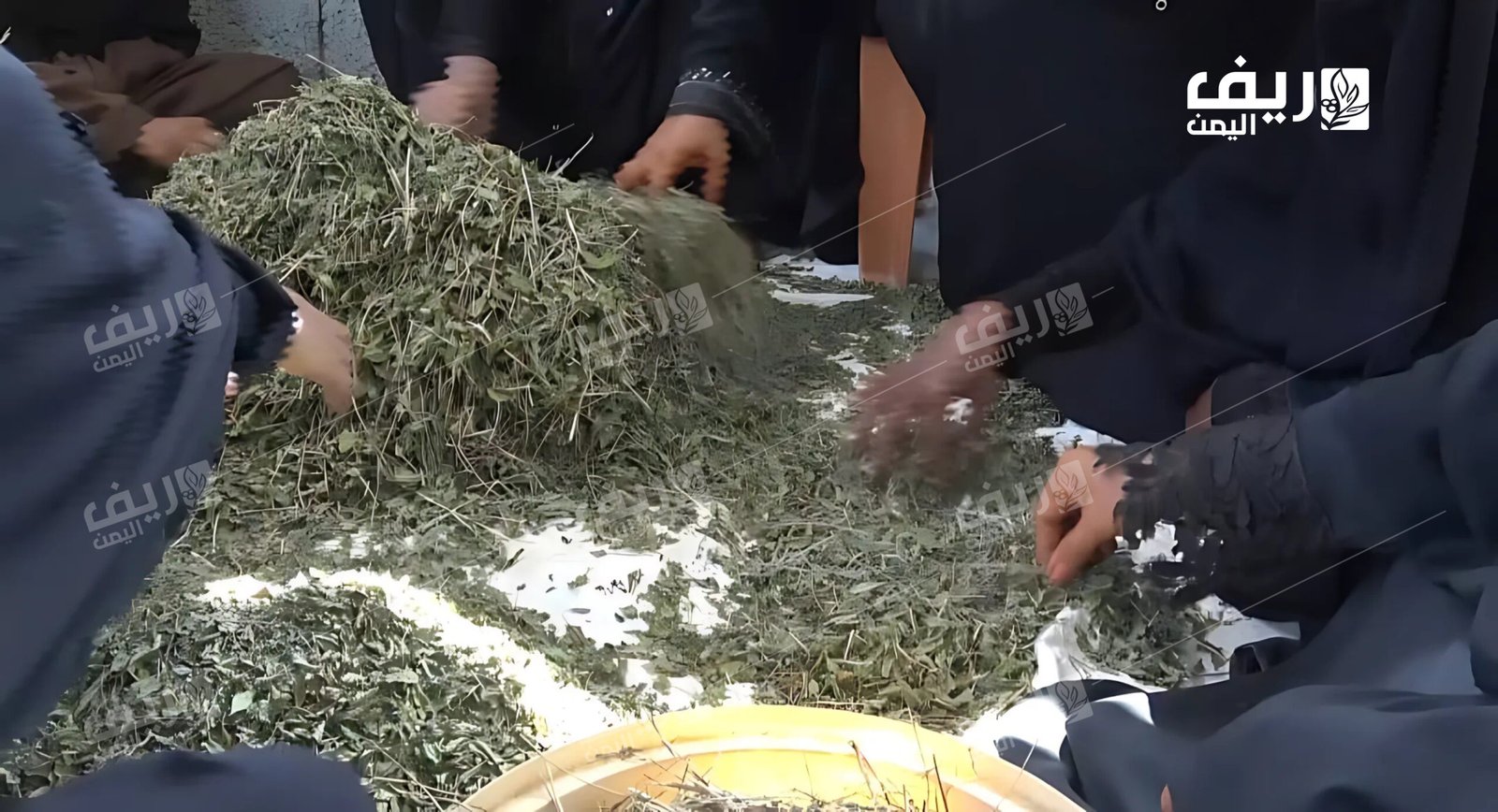 الاقتصاد الريفي: كفاح مستمر من أجل البقاء
