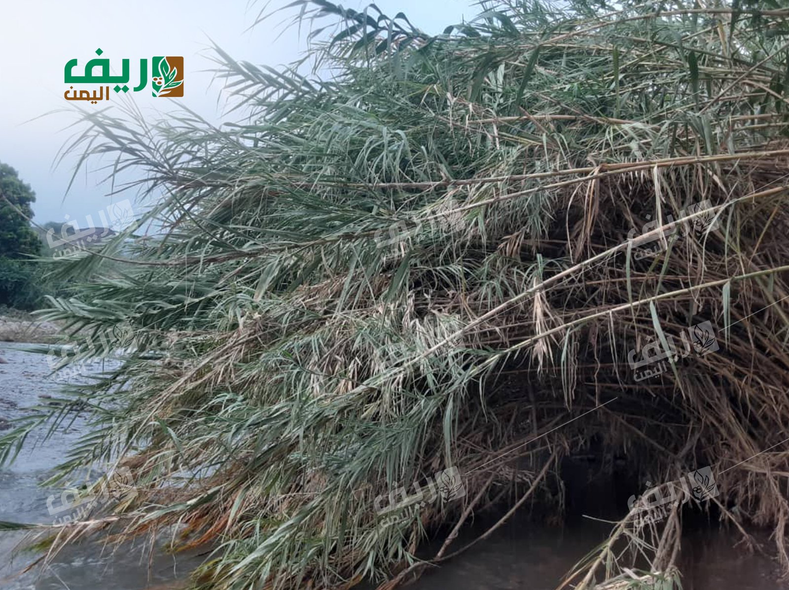 كيف يحمي المزارعون التربة الزراعية من الانجراف؟