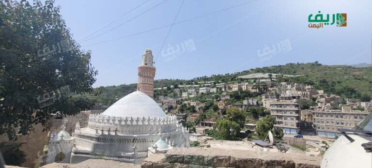 مدينة جبلة