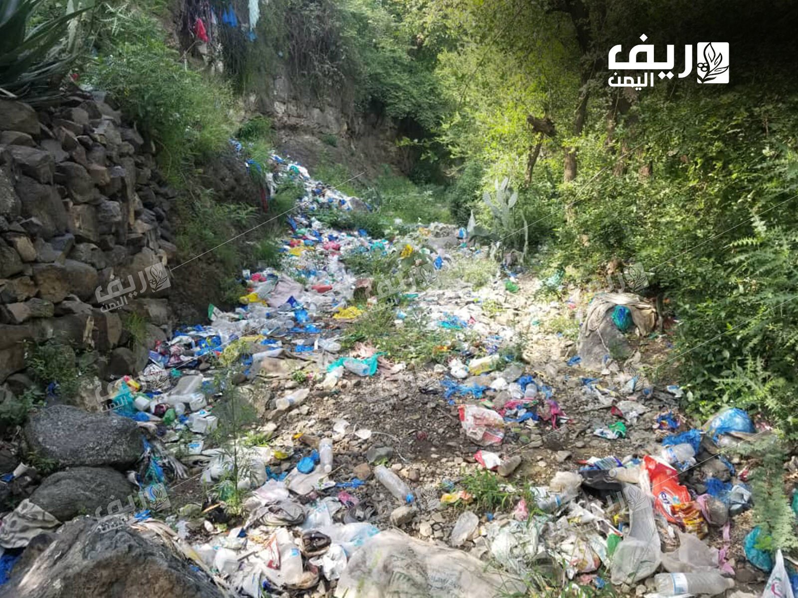 تراكم النفايات في ريف تعز.. كارثة بيئية وصحية تهدد السكان والزراعة 