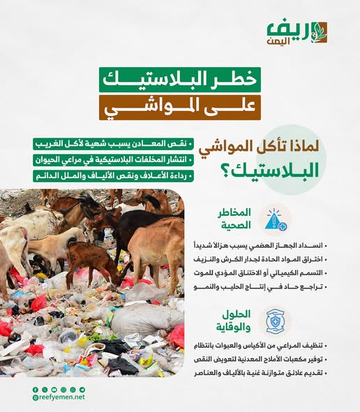 خطر مخلفات البلاستيك على صحة المواشي