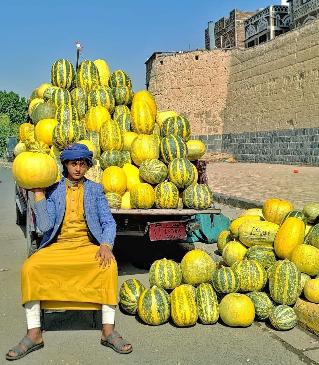 أسباب تساقط أزهار اليقطين وطرق الوقاية