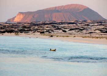 محمية بير علي بروم.. موطن الشعاب المرجانية والطيور المهاجرة