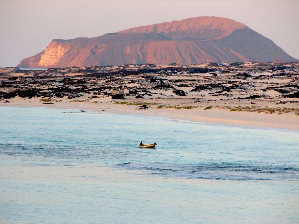 محمية بير علي بروم.. موطن الشعاب المرجانية والطيور المهاجرة