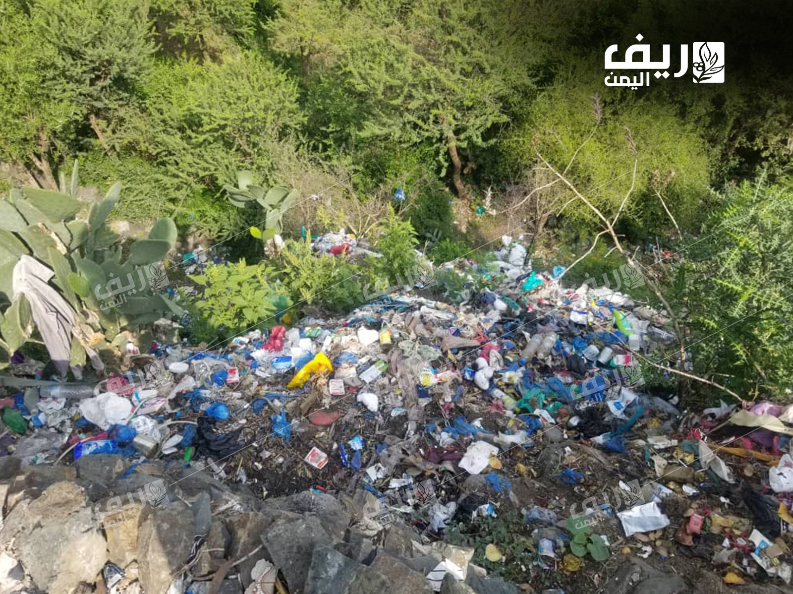 تراكم النفايات في ريف تعز.. كارثة بيئية وصحية تهدد السكان والزراعة في ريف تعز