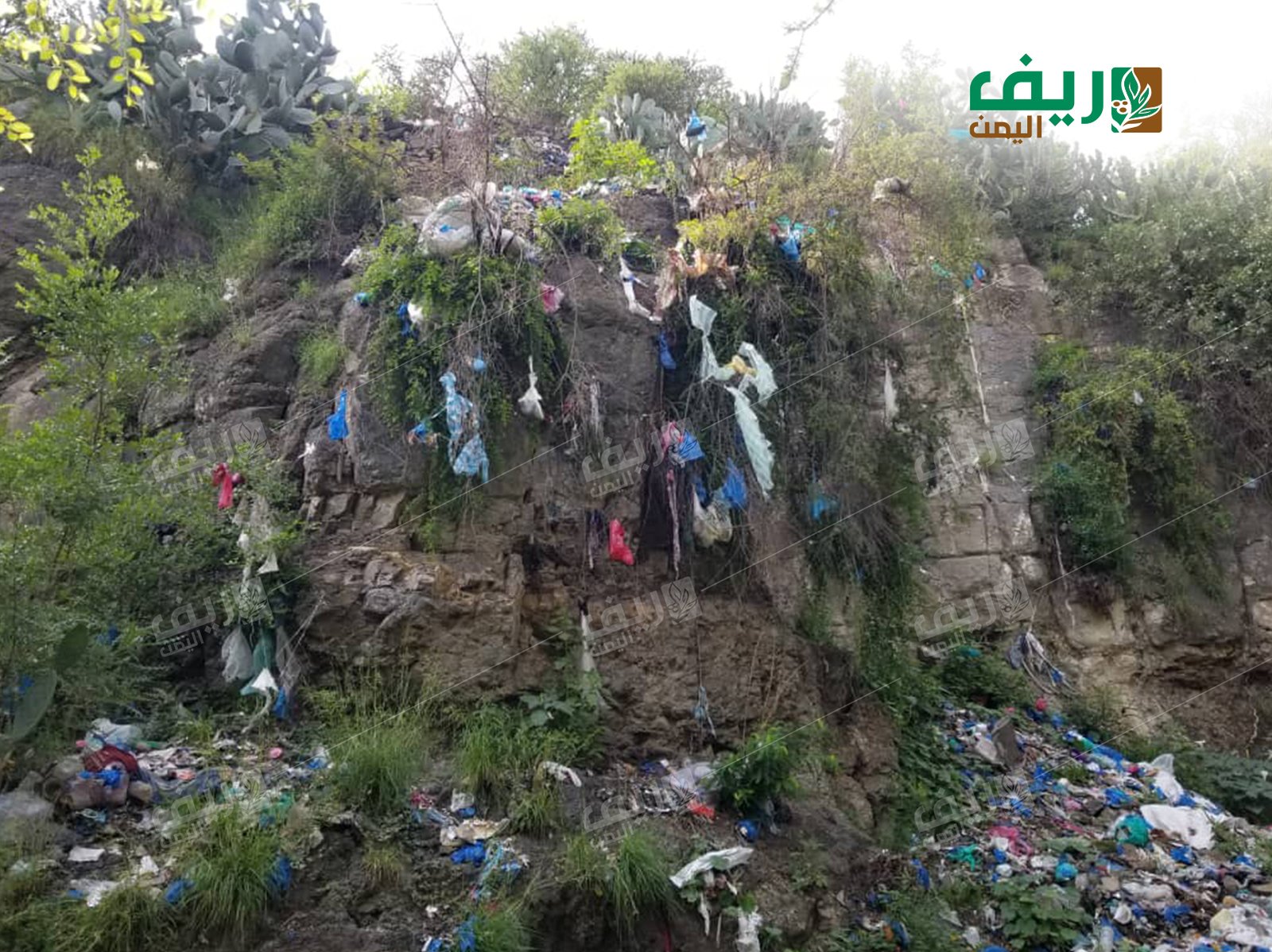 تراكم النفايات في ريف تعز.. كارثة بيئية وصحية تهدد السكان والزراعة