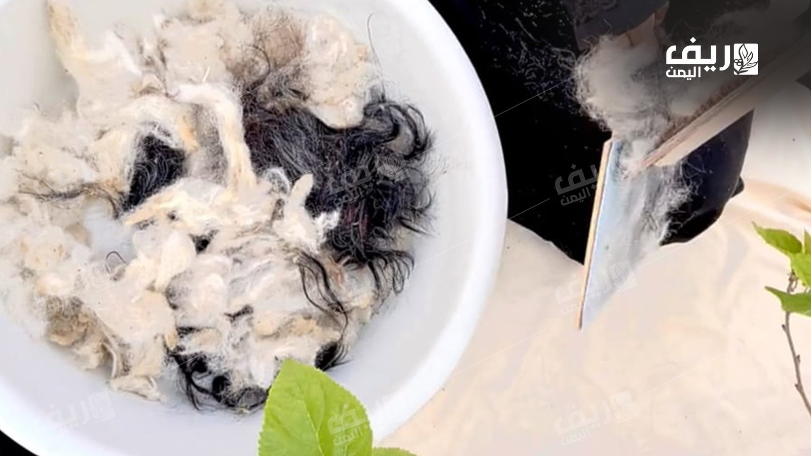 1524 صوف الغنم.. مهنة الحياكة الريفية التي تُصارع الاندثار