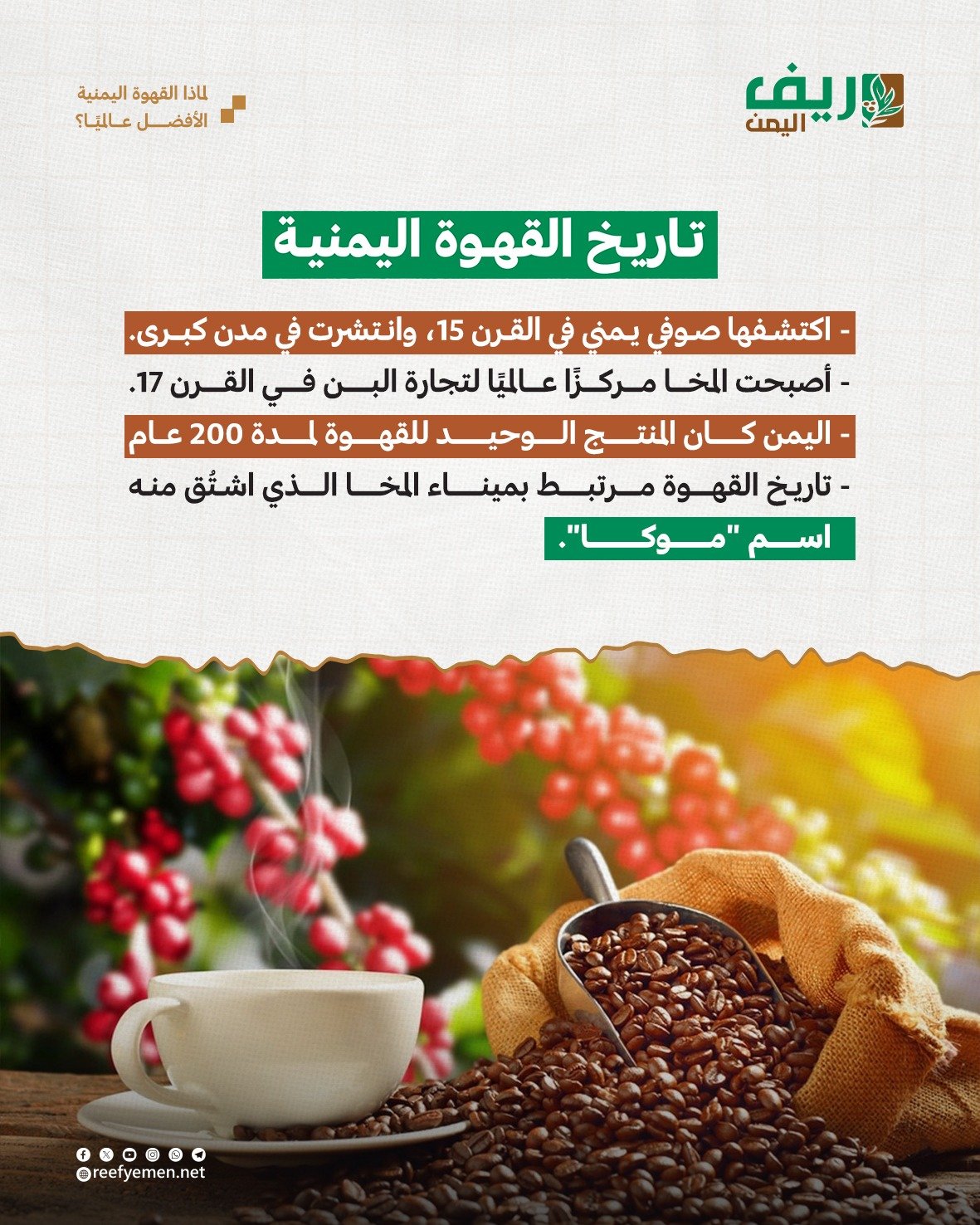 القهوة اليمنية الأغلى عالمياً.. لماذا؟