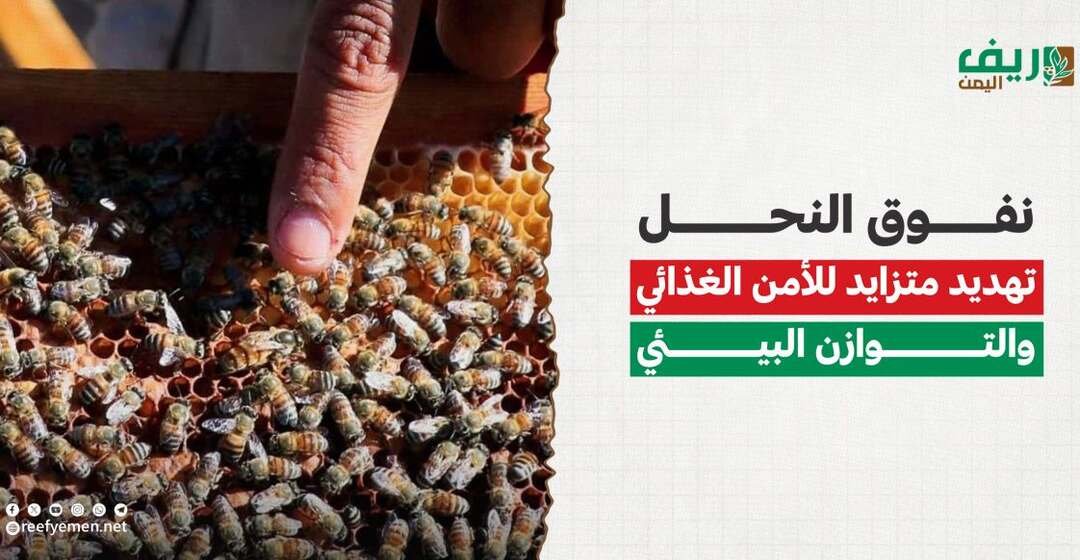 نفوق النحل.. تهديد متصاعد للأمن الغذائي والتوازن البيئي