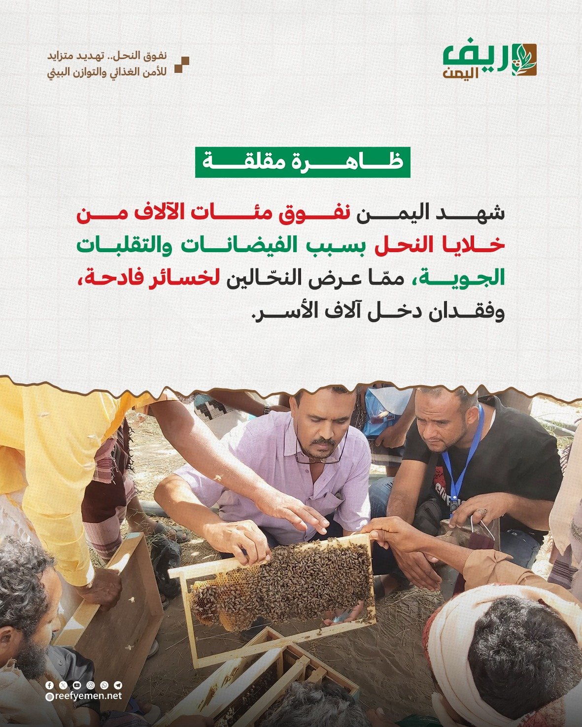نفوق النحل.. تهديد متصاعد للأمن الغذائي والتوازن البيئي