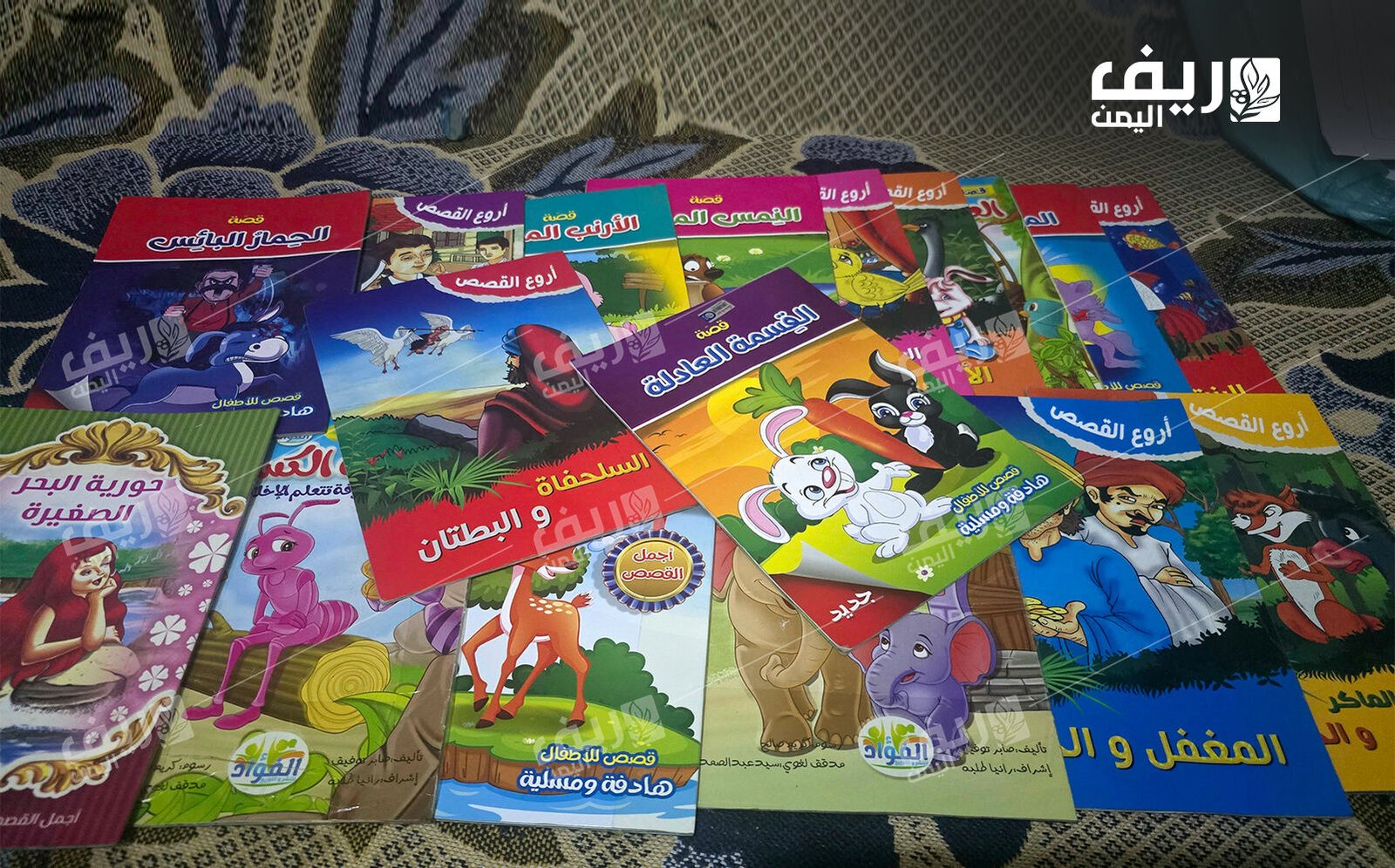 صوت الريف.. مبادرة تعيد الأمل لطلاب قرية في إب