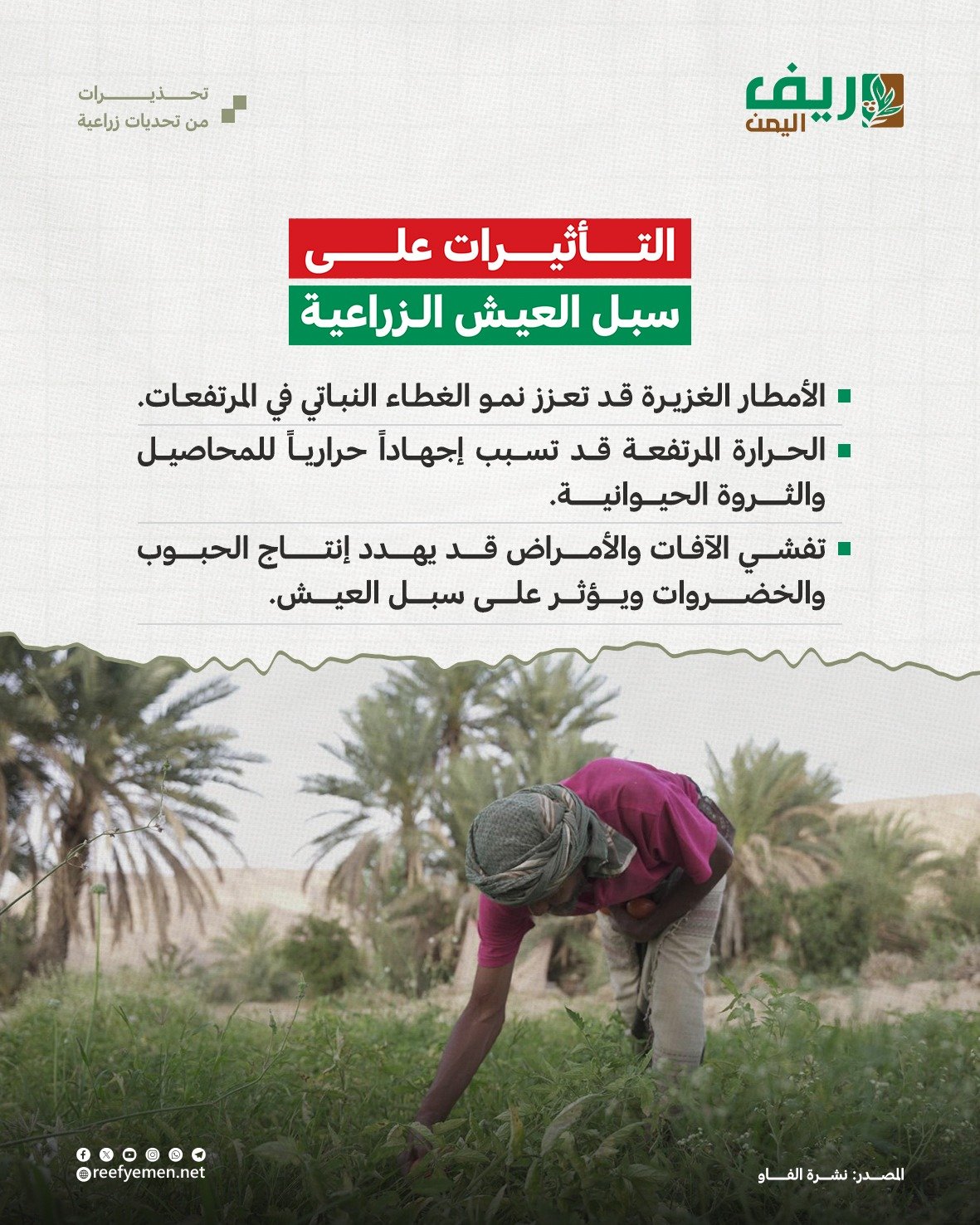 تحذيرات من تحديات زراعية في اليمن