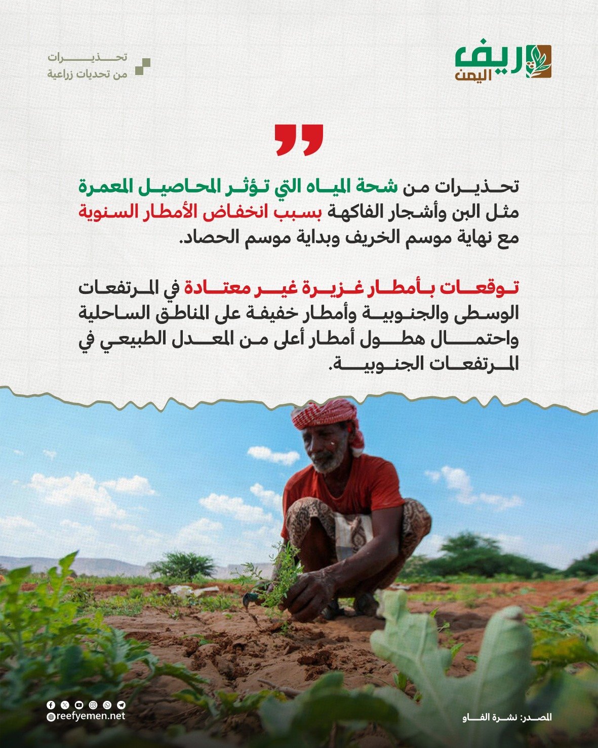 تحذيرات من تحديات زراعية في اليمن