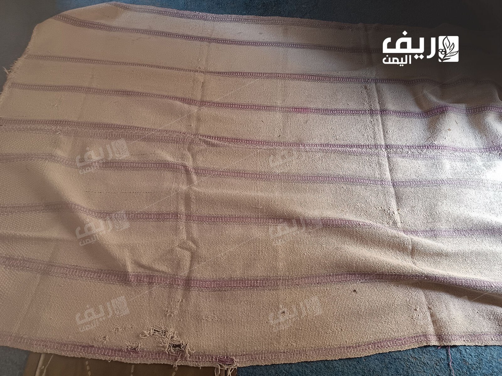 صوف الغنم.. مهنة الحياكة الريفية تُصارع الاندثار 