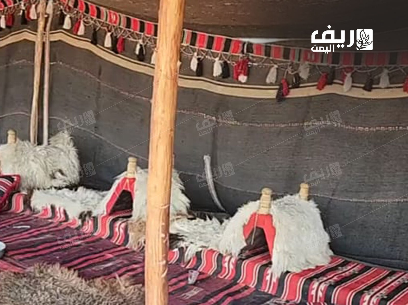 صوف الغنم.. مهنة الحياكة الريفية تُصارع الاندثار